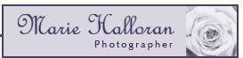 Marie Halloran Photographer